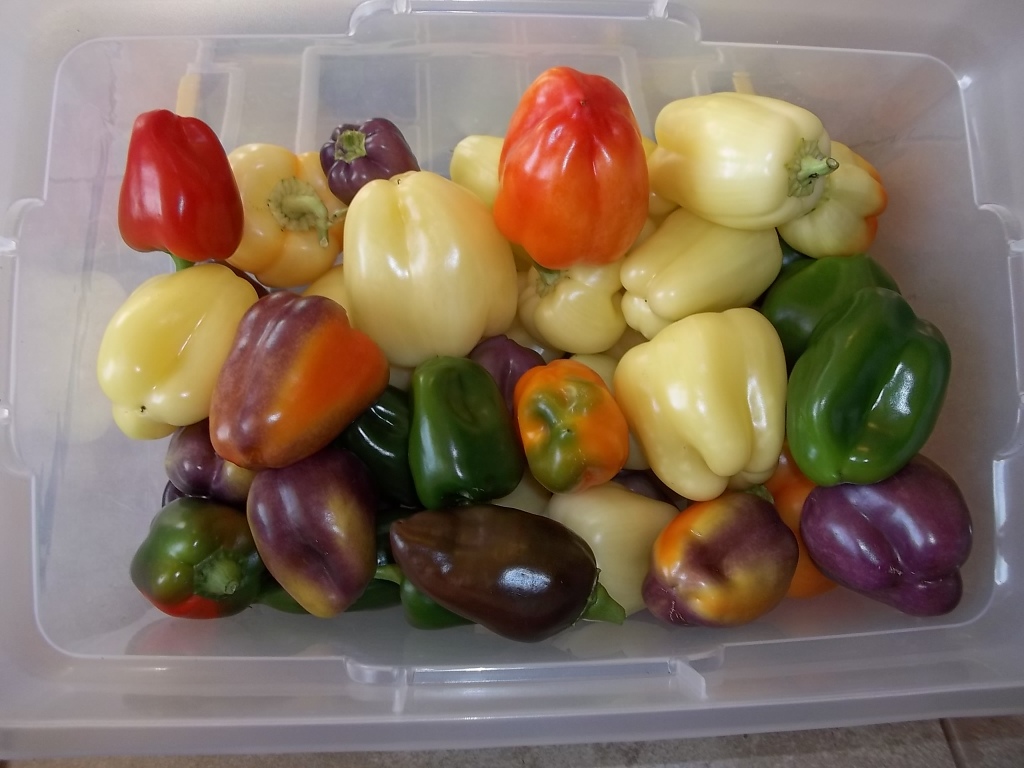 Tips for Perfect Peppers